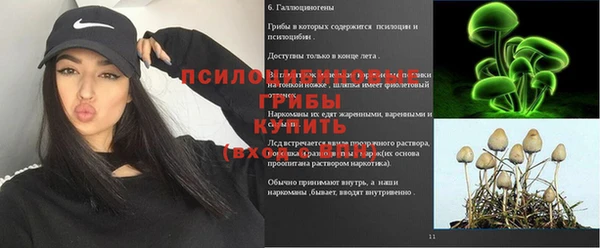 прущие крисы Бронницы