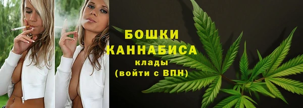 мет Бородино