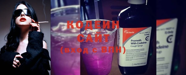 мет Бородино