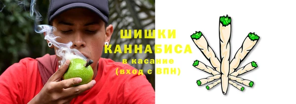 прущие крисы Бронницы