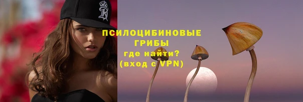 мет Бородино