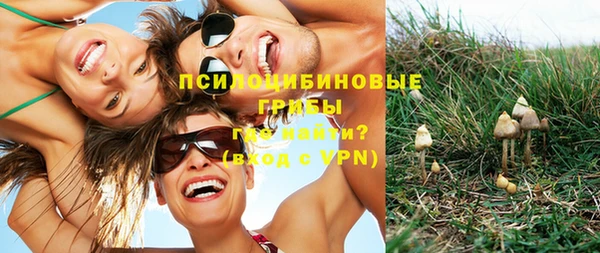 мет Бородино